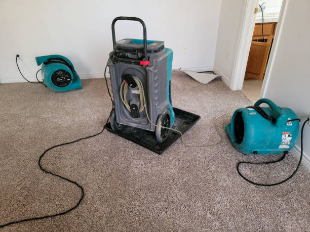 Best Water damage restoration cost  in Piqua, OH
