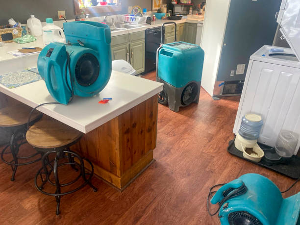 Best Flood damage cleanup  in Piqua, OH