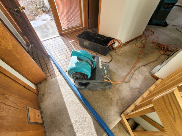 Best Sewage cleanup and water damage restoration  in Piqua, OH