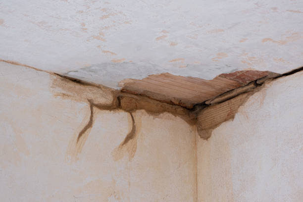 Best Flooded house restoration  in Piqua, OH