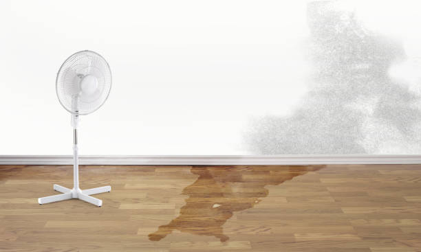 Best Water damage restoration near me  in Piqua, OH