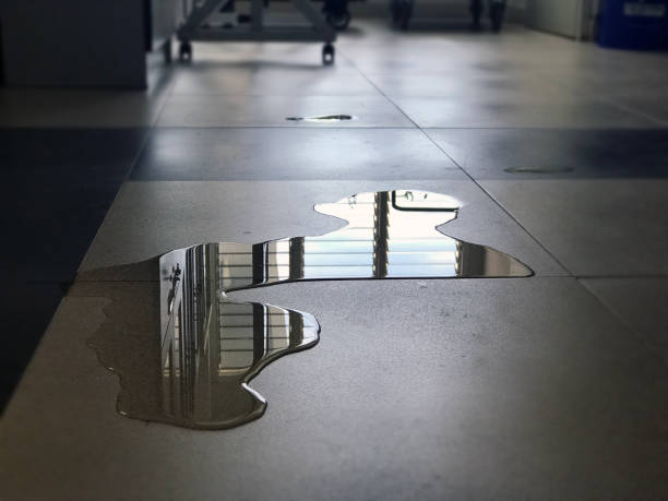 Best 24-hour water damage restoration  in Piqua, OH
