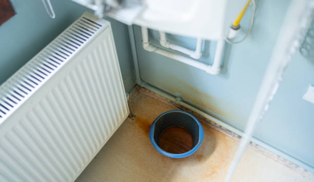 Best Flood restoration services  in Piqua, OH