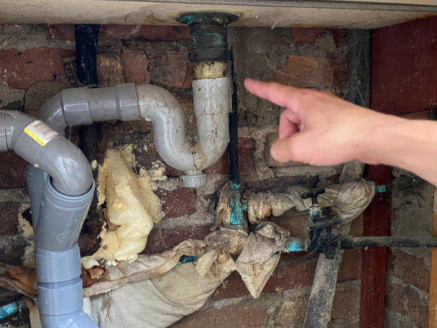 Best Water damage contractors near me  in Piqua, OH