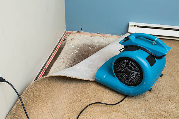 Best Water damage restoration near me  in Piqua, OH